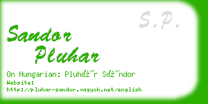 sandor pluhar business card